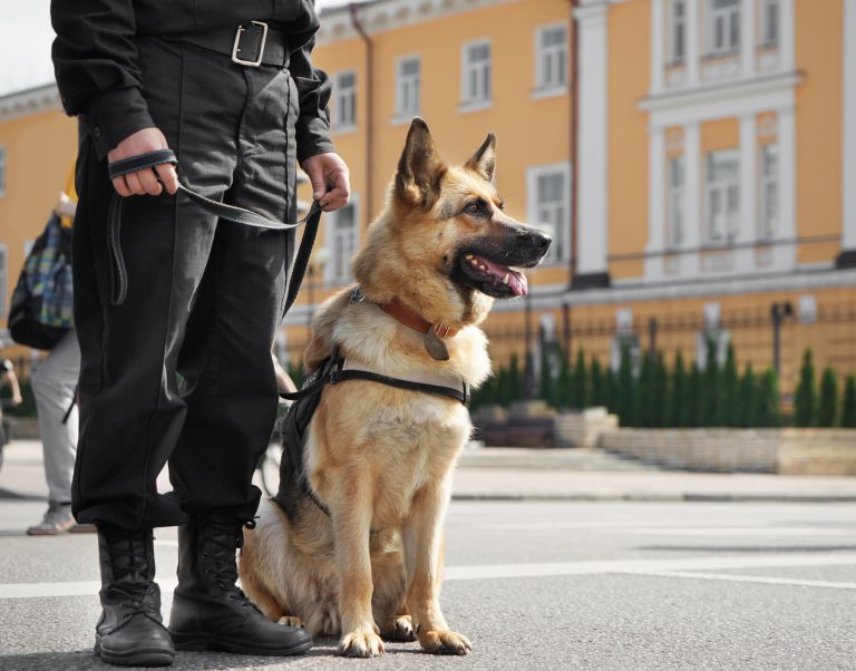 Dog Patrol Units