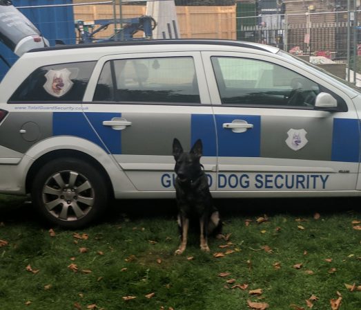 Construction Site Dog Guarding Sussex