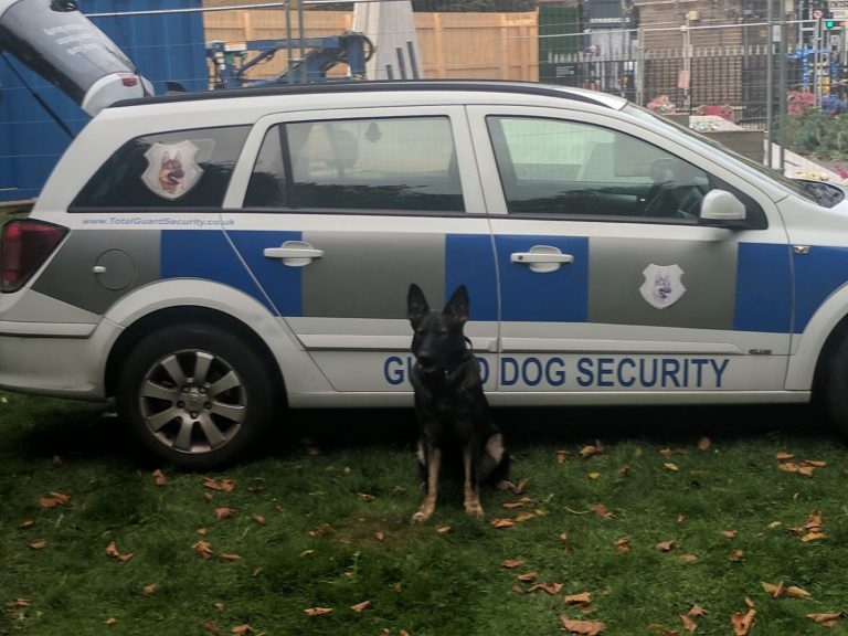 Construction Site Dog Guarding Sussex