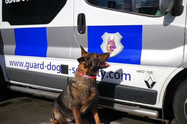 K9 patrols are an affordable cost-effective solution